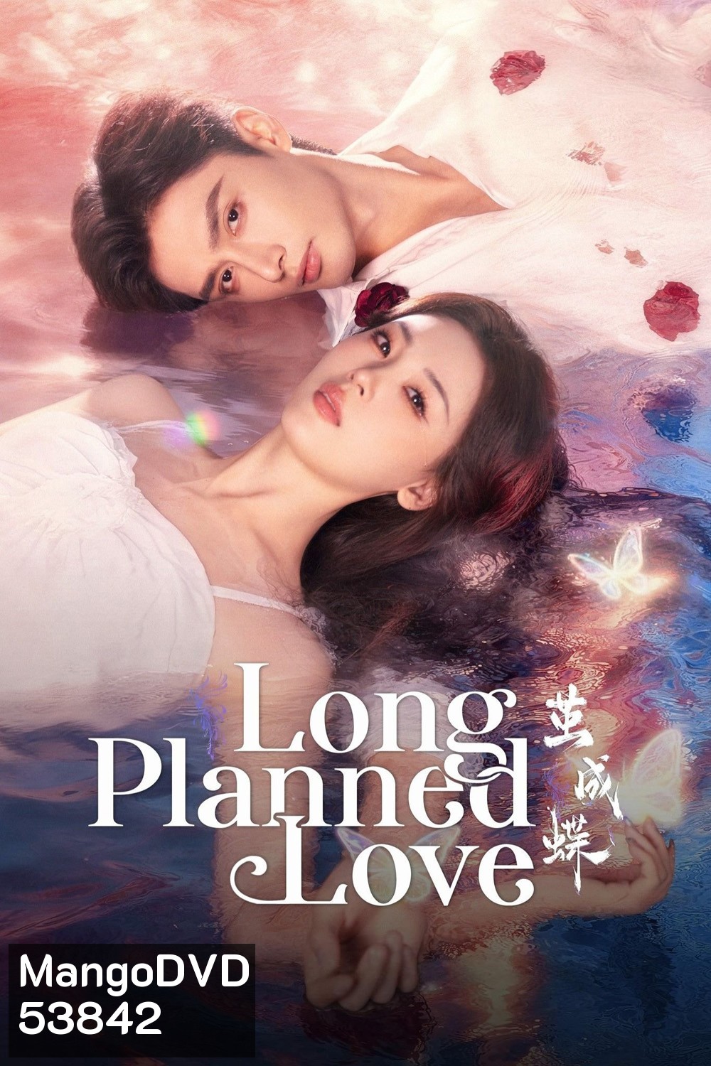 Long Planned Love รักที่โบยบิน (2025) 24 ตอนจบ