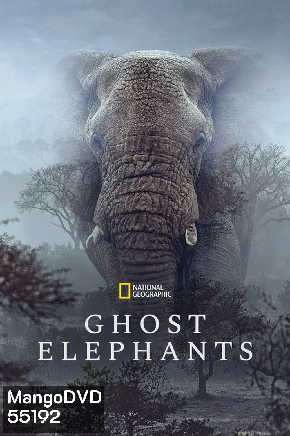 Ghost Elephants (2025)