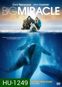 Big Miracle ปาฏิหาริย์วาฬสีเทา
