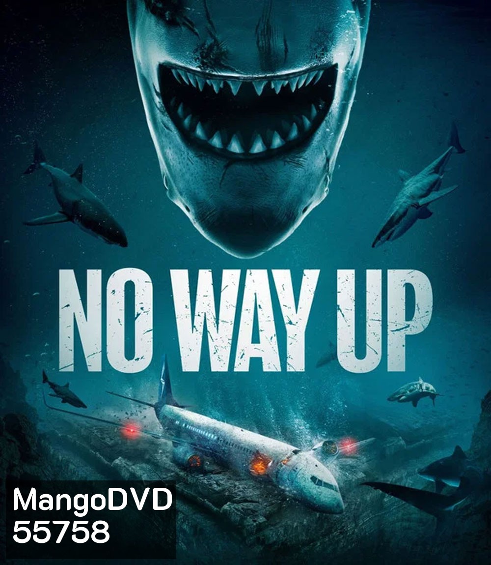 No Way Up (2024) งาบคลั่งไฟลต์
