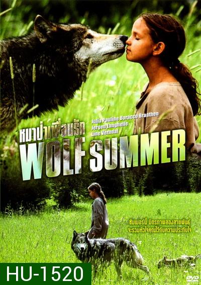 Wolf Summer หมาป่าเพื่อนรัก