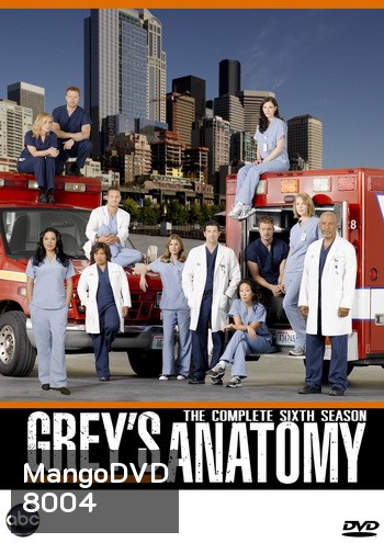 Grey's Anatomy Season 6 แพทย์มือใหม่หัวใจเกินร้อย ปี 6