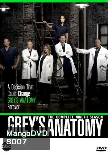 Grey's Anatomy Season 9 แพทย์มือใหม่หัวใจเกินร้อย ปี 9