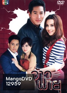 จ้าวพายุ