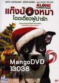 Alone for Christmas แก๊งน้องหมาโดดเดี่ยวผู้น่ารัก