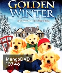 Golden winter แก๊งน้องหมาซ่าส์ยกก๊วน