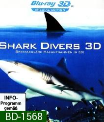 SHARK DIVERS 3D