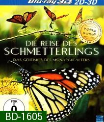 Die Reise des Schmetterlings - Das Geheimnis des Monarchfalters