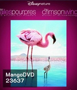 The Crimson Wing: Mystery of the Flamingos (2008)