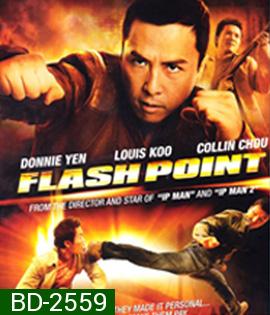 Flash Point (2007) ลุยบ้าเดือด
