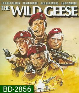 The Wild Geese (1978) 50 เดนตาย