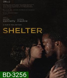 Shelter (2014) คืนเหงา เราสอง