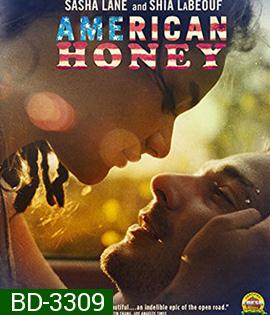 American Honey (2017) อเมริกัน ฮันนี่ (Master)