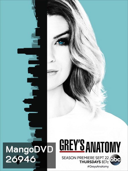 Grey's anatomy Season 13 แพทย์มือใหม่หัวใจเกินร้อย ปี 13 ( 24 ตอนจบ )