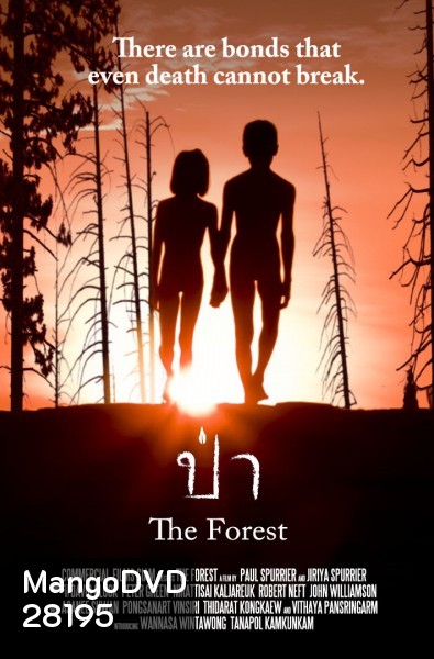 The Forest ป่า