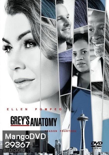 Grey's anatomy Season 14 แพทย์มือใหม่หัวใจเกินร้อย ปี 14 ( 24 ตอนจบ )