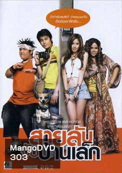สายลับจับบ้านเล็ก
