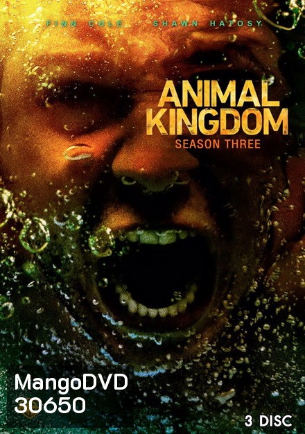 ANIMAL KINGDOM ตระกูลชั่ว ครอบครัวโจร Season 3 (13 ตอนจบ)