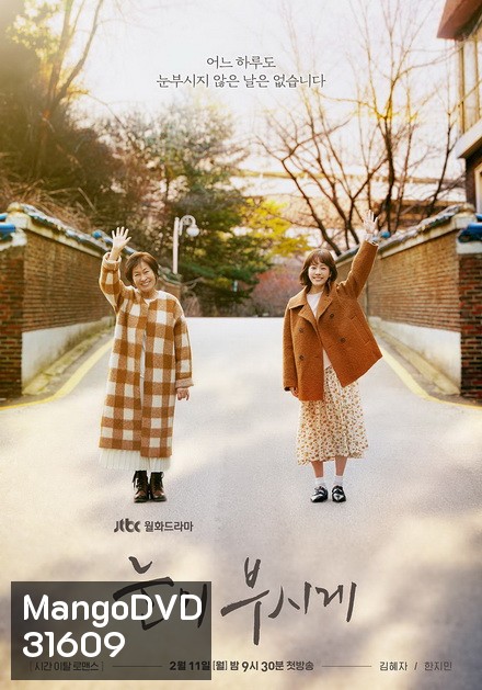 Dazzling / The Light in Your Eyes ย้อนเวลารัก ( 12 ตอนจบ )