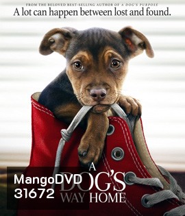 A Dog's Way Home (2019) เพื่อนรักผจญภัยสี่ร้อยไมล์