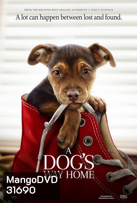 A Dog's Way Home (2019) เพื่อนรักผจญภัยสี่ร้อยไมล์