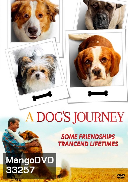 A Dog's Journey หมา เป้าหมาย และเด็กชายของผม 2
