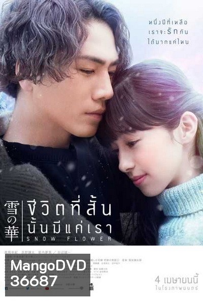Snow Flower ชีวิตที่สั้นนั้นมีแค่เรา