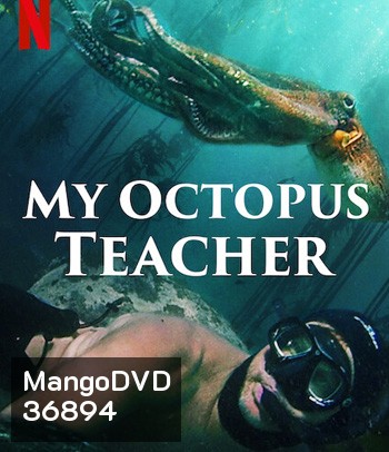 My Octopus Teacher (2020) บทเรียนจากปลาหมึก