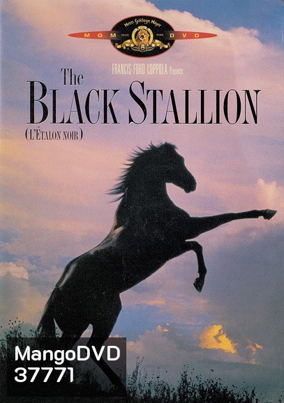 The Black Stallion (1979) อาชาเพื่อนยาก