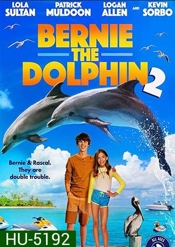 Bernie The Dolphin 2 (2019) เบอร์นี่ โลมาน้อย หัวใจมหาสมุทร 2