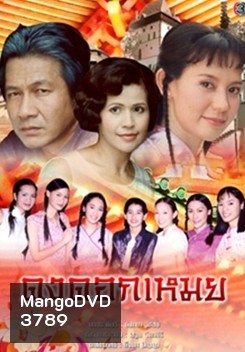 ดงดอกเหมย