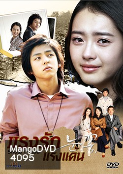 Snow Flower แรงรัก แรงแค้น (Snow Flakes)