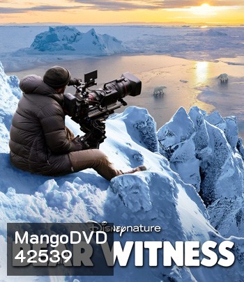 4K - Bear Witness (2022) - แผ่นหนัง 4K UHD