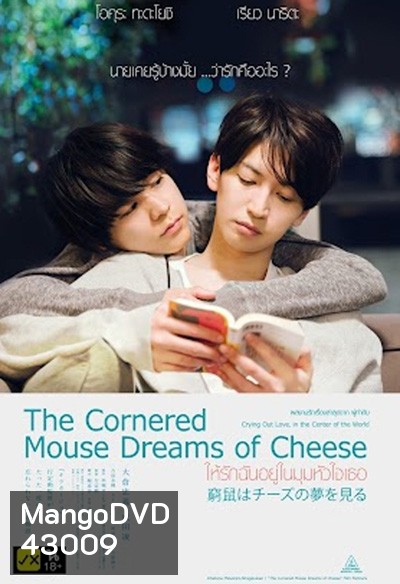 The Cornered Mouse Dreams of Cheese (2020) ให้รักฉันอยู่ในมุมหัวใจเธอ