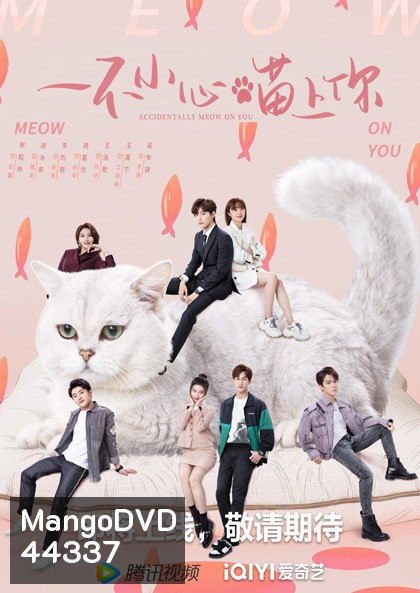 Accidentally Meow On You (2022) เหมียวเหมียวเกี่ยวใจให้เจอรัก (24 ตอนจบ)