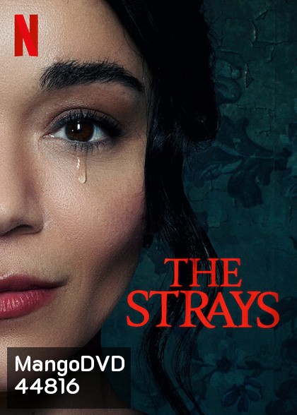 The Strays (2023) คนหลงทาง