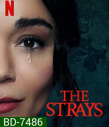The Strays (2023) คนหลงทาง