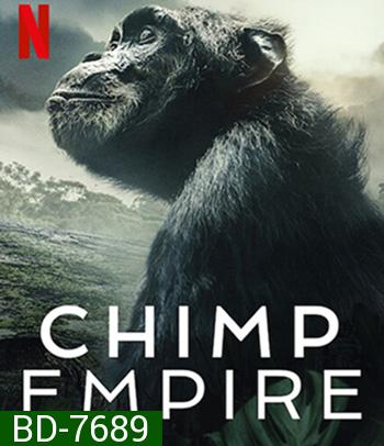 Chimp Empire (2023) อาณาจักรซิมแปนซี