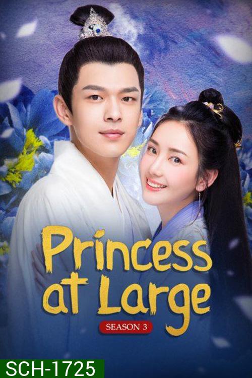 พระชายาลอยนวล ปี 3 (2020) Princess at Large Season 3 (15 ตอนจบ)