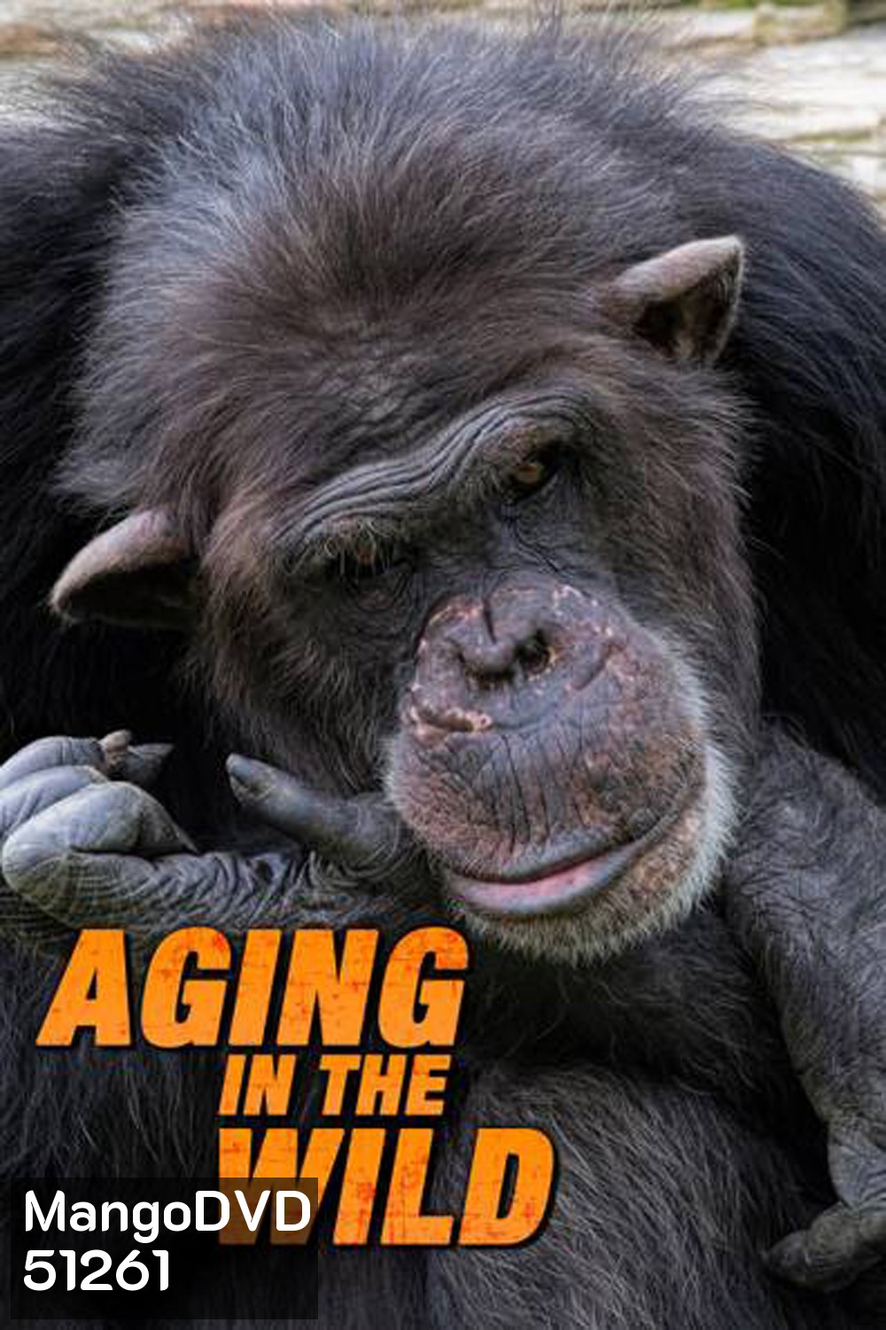 Aging in the Wild (2017) ช่วงชีวิตในป่าใหญ่ (5 ตอน)