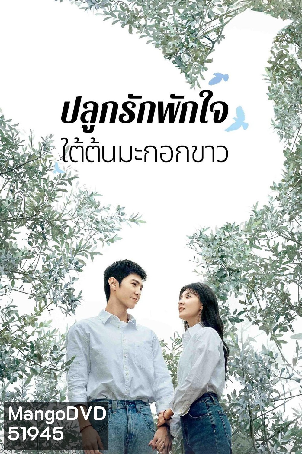 The White Olive Tree ปลูกรักพักใจ ใต้ต้นมะกอกขาว (2025) 38 ตอนจบ