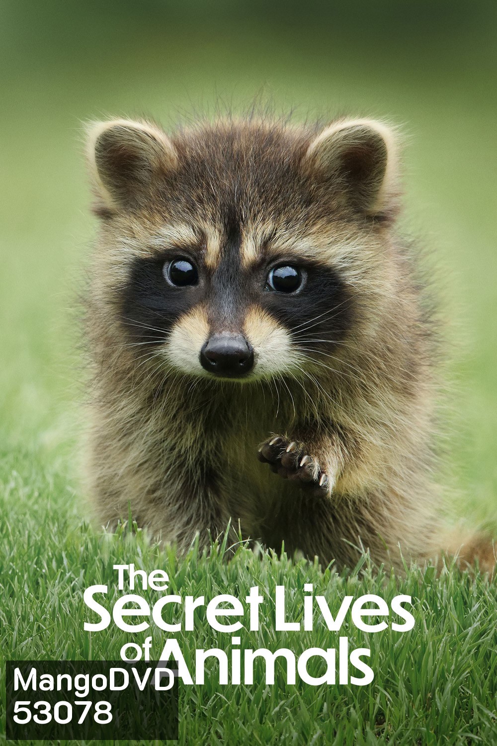 The Secret Lives of Animals (2024) 10 ตอน