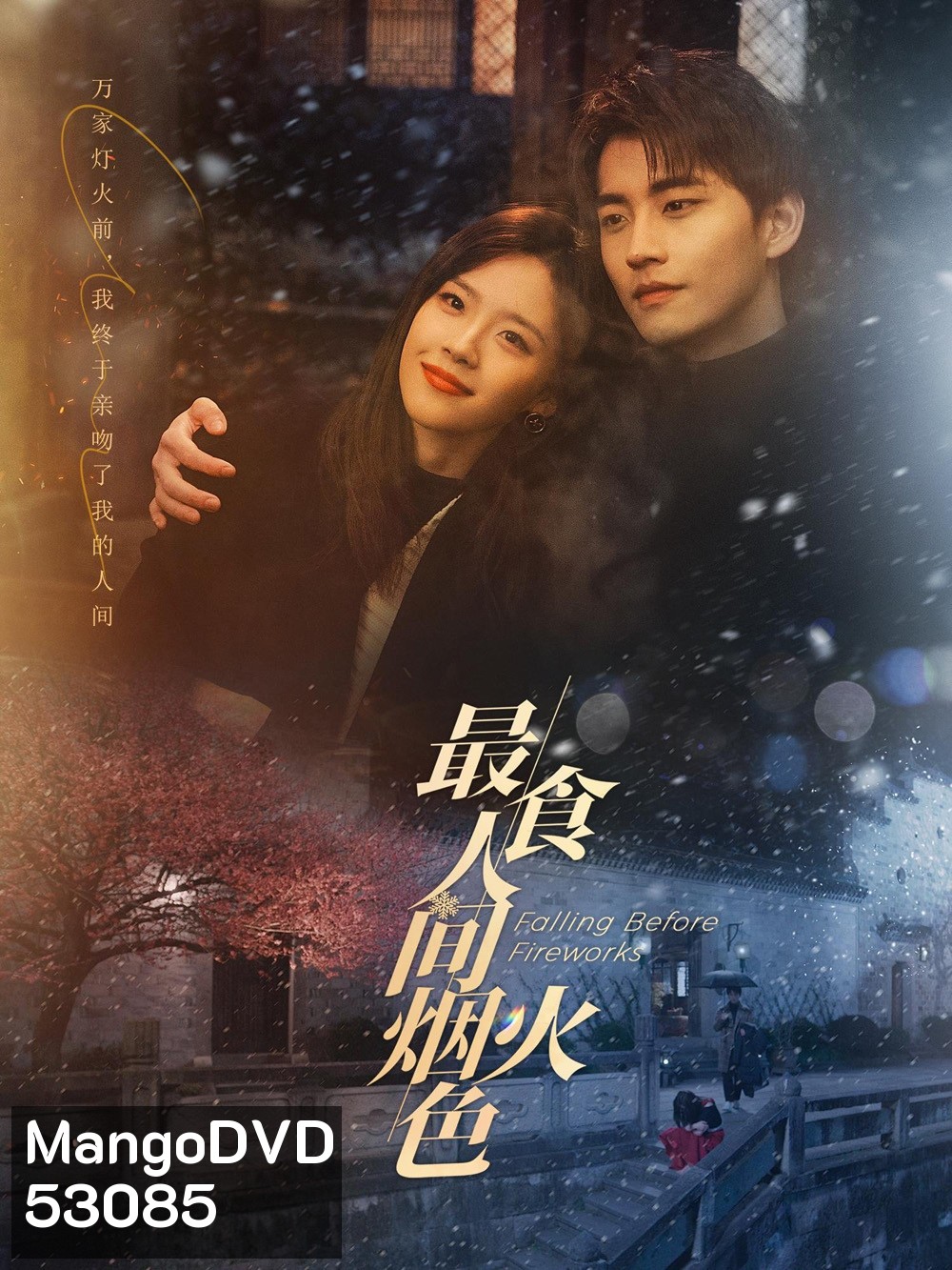 ดอกไม้ไฟแห่งรัก Falling Before Fireworks (2023) 23 ตอนจบ