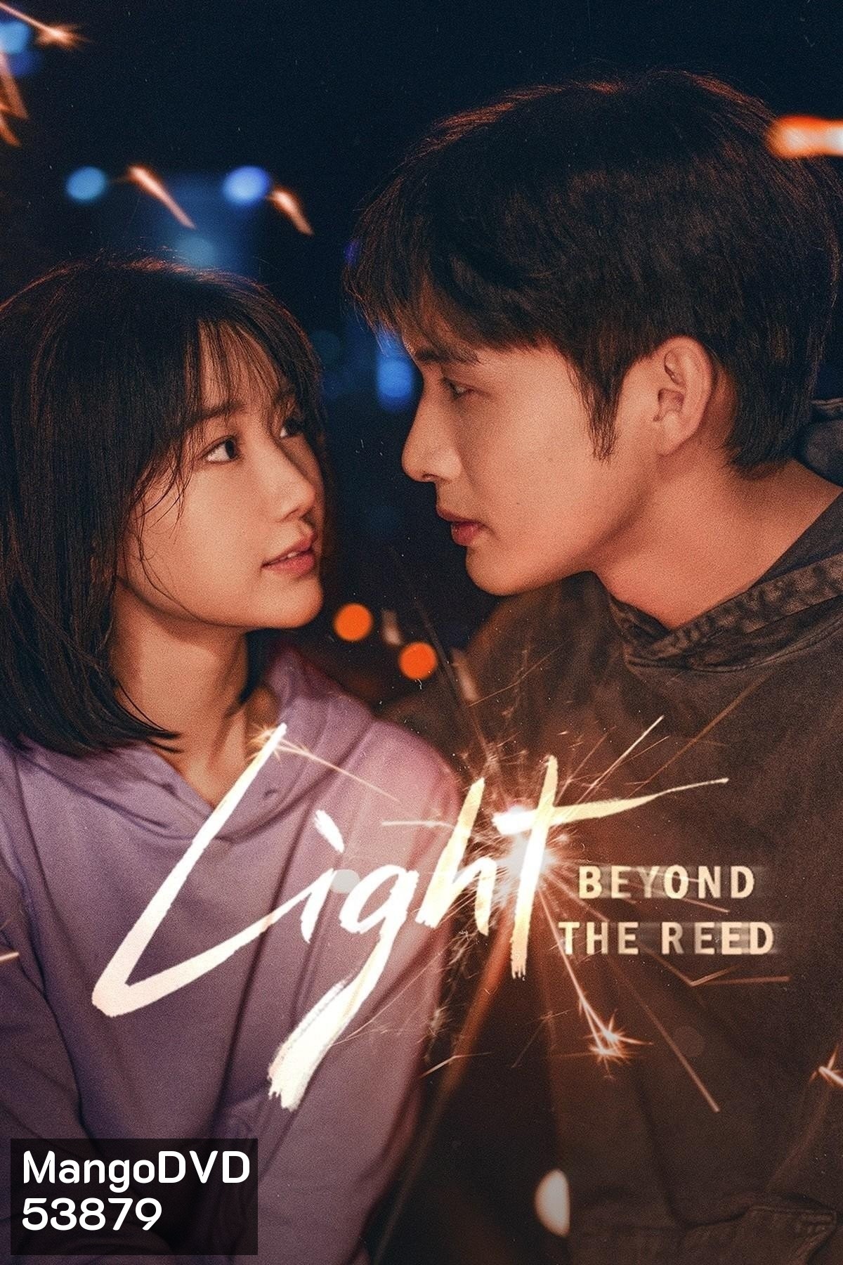 Light Beyond the Reed แสงรักส่องปลายฟ้า (2025) 18 ตอนจบ