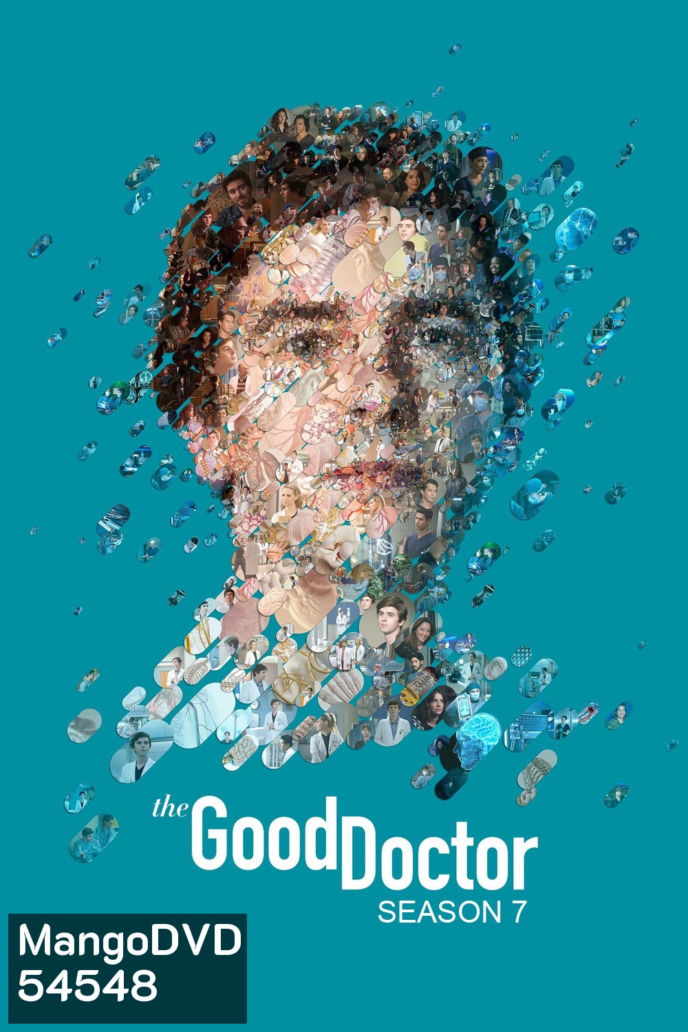 The Good Doctor Season 7 (2024) คุณหมอฟ้าประทาน ซีซั่น 7 {10 ตอนจบ}