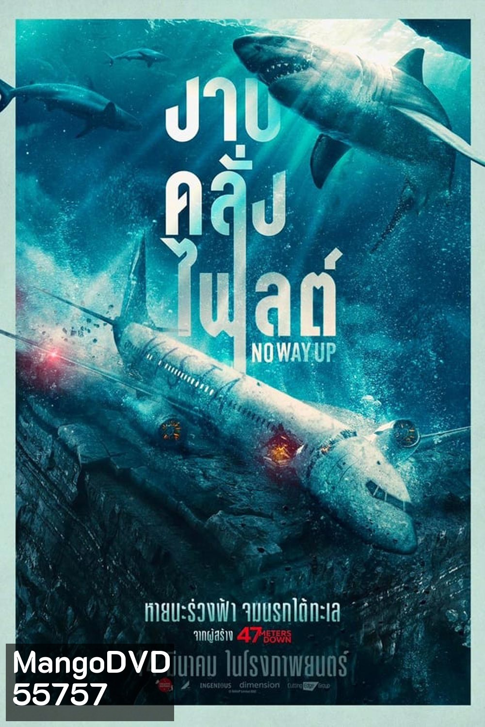 No Way Up (2024) งาบคลั่งไฟลต์
