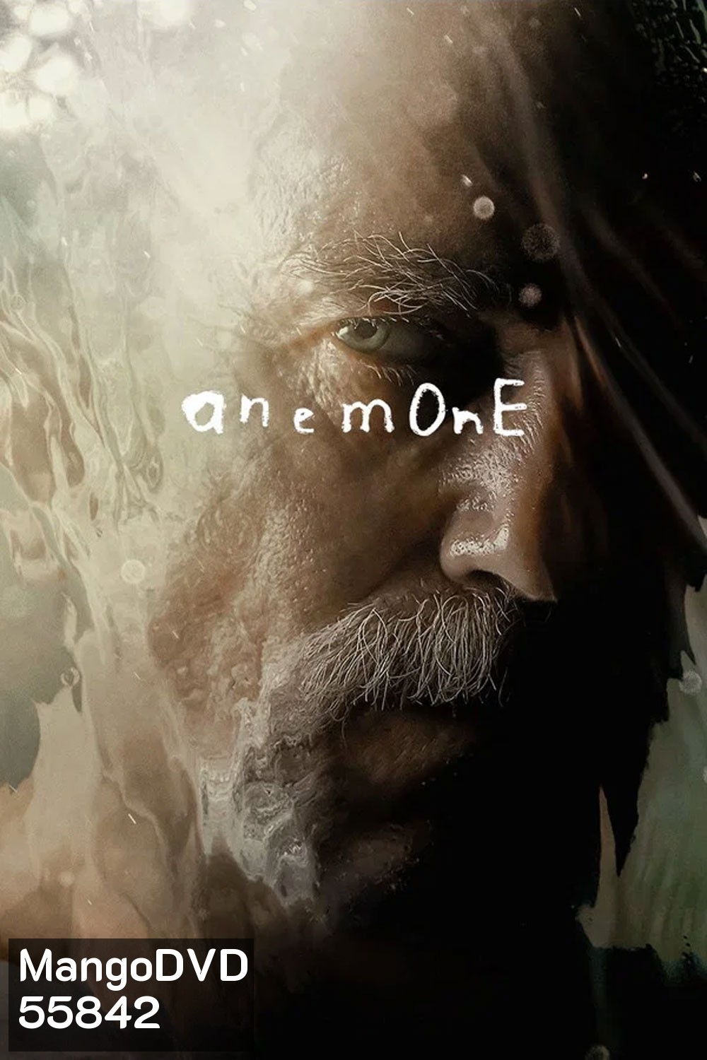 Anemone (2025) อะนีโมนี