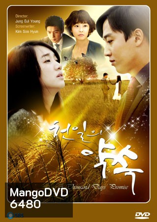 A Thousand Days Promise