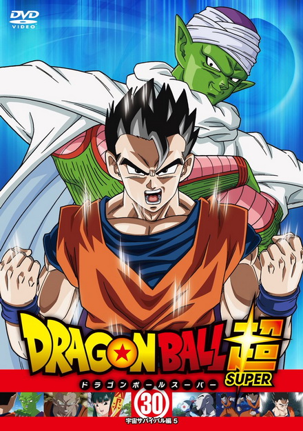 Dragon Ball Super Vol.30